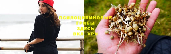 гашиш Белокуриха